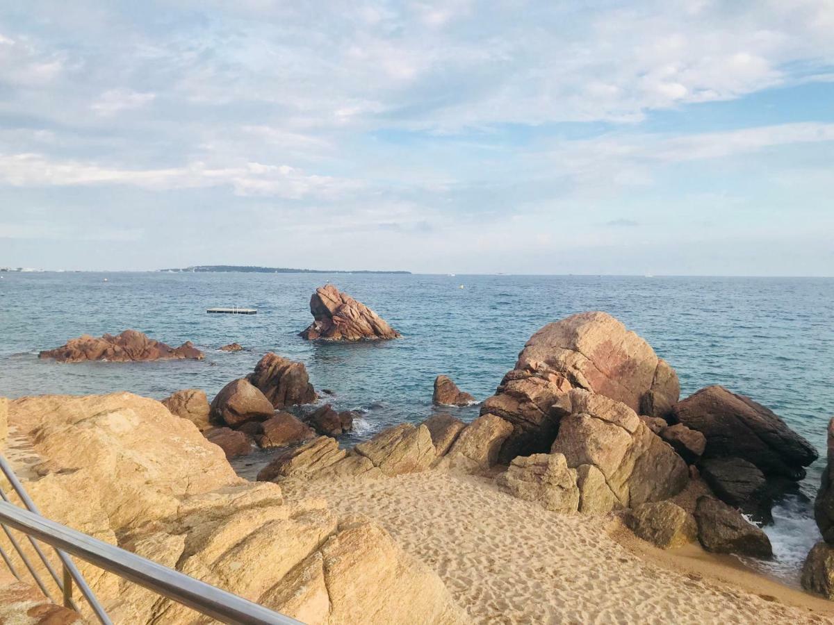 Studio Chateau De La Mer 칸느 외부 사진